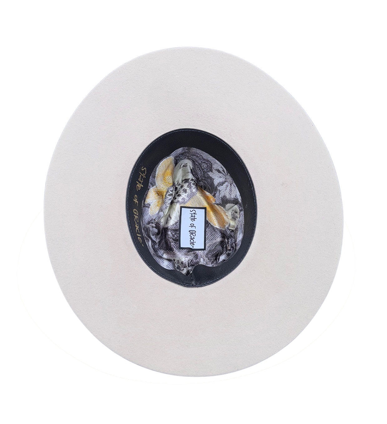 PENELOPE image 5