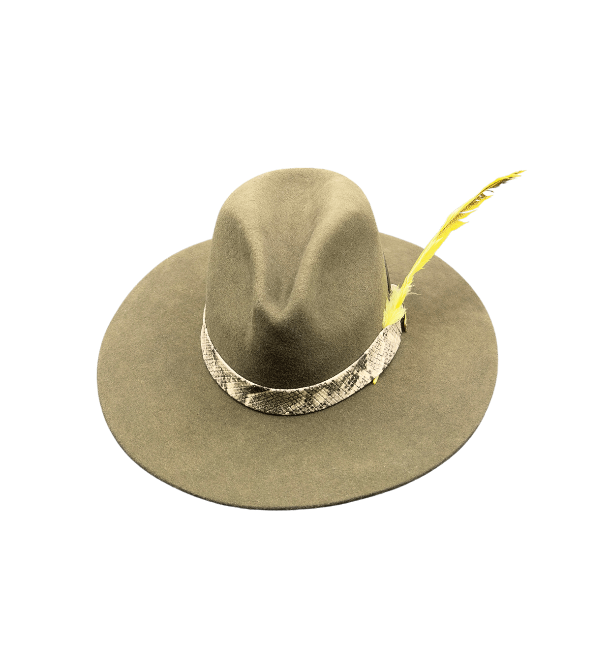MARGA image 0