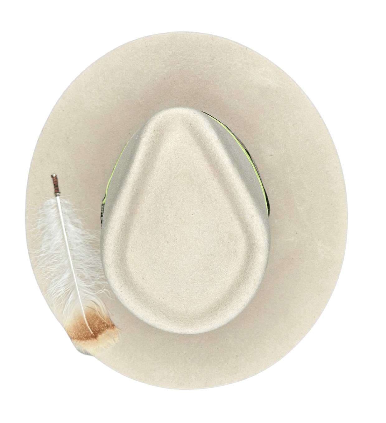 TERESA image 6