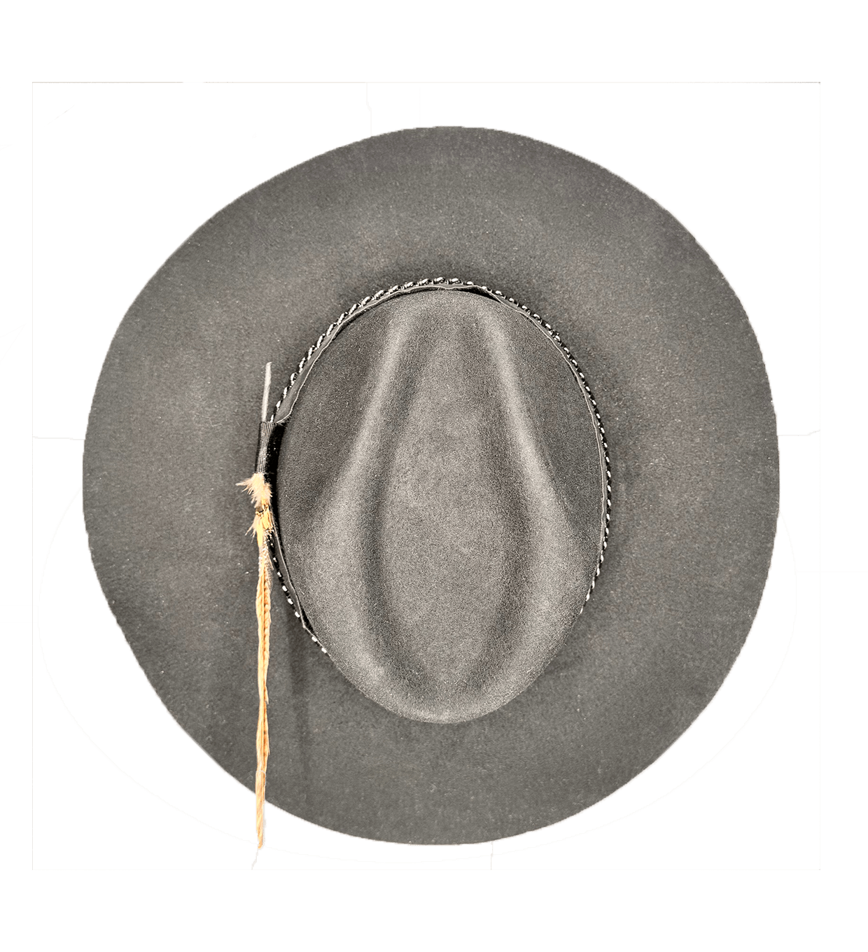CARLOTA image 2