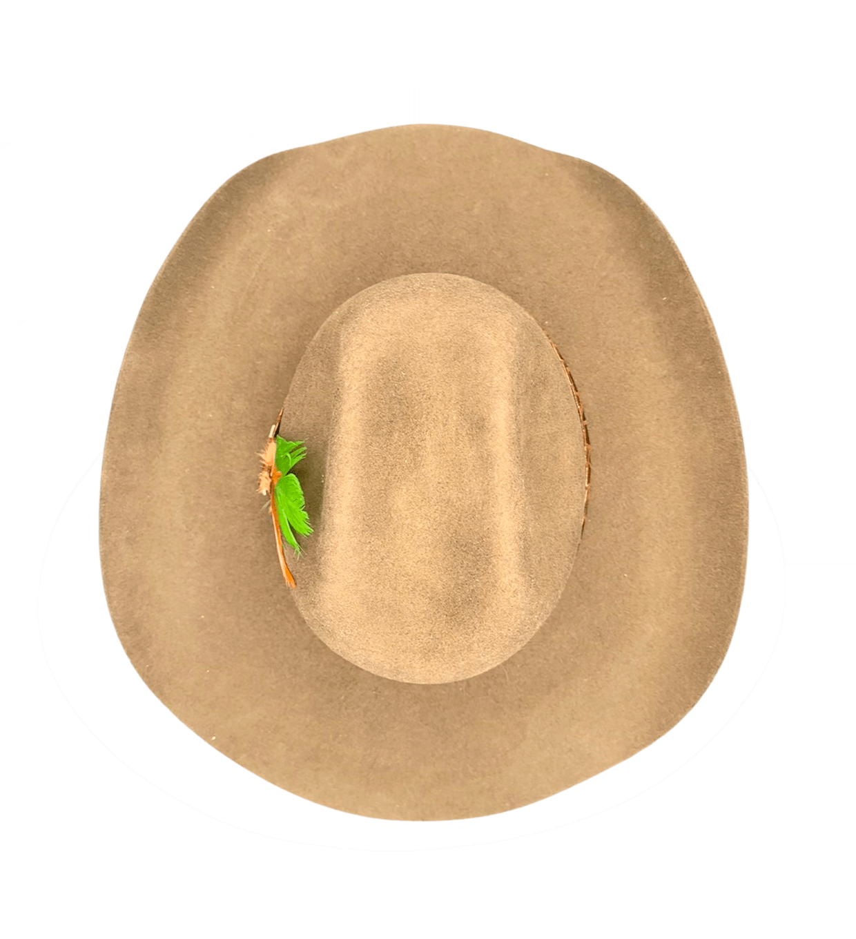 VANESA image 2
