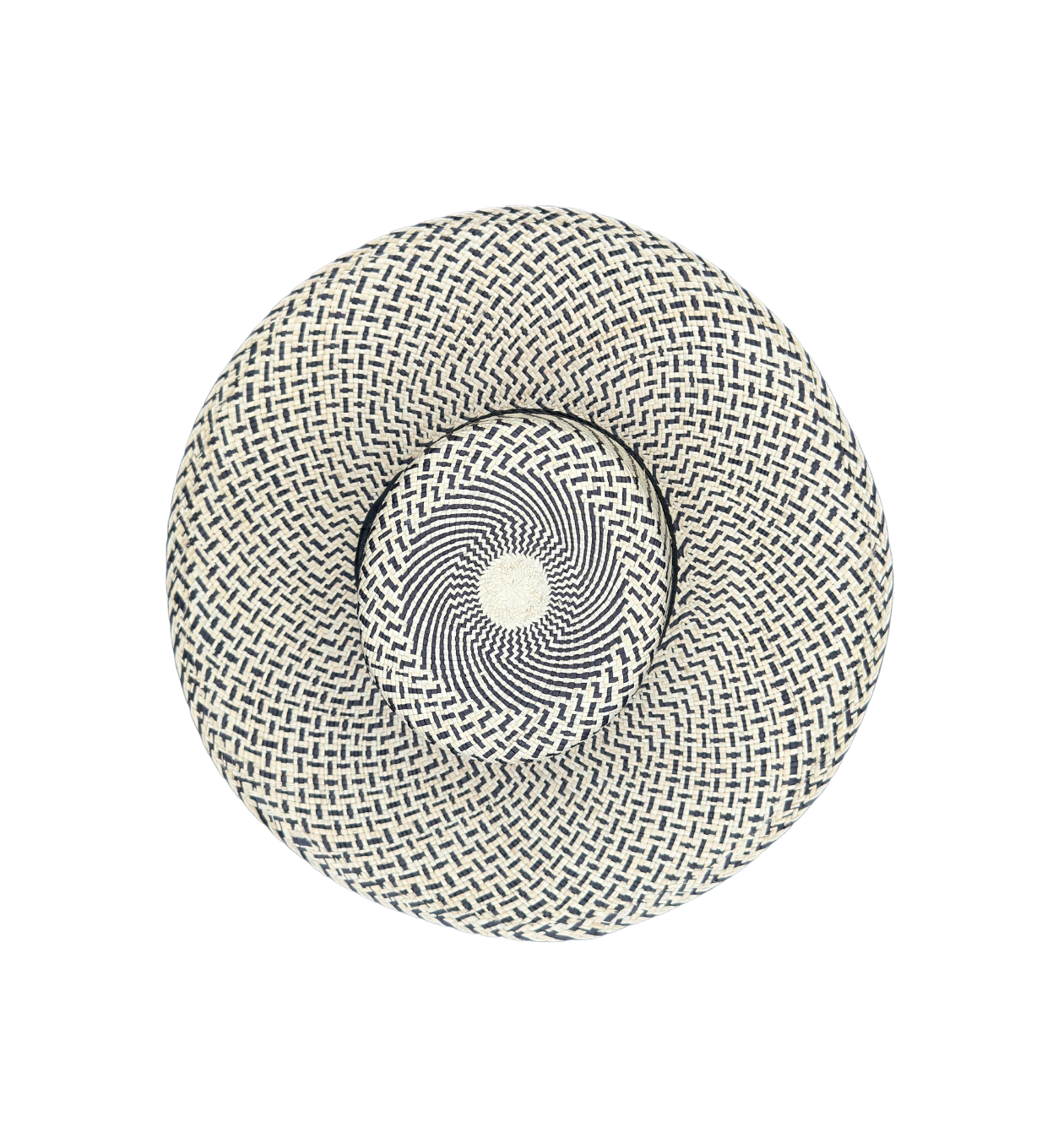 PILAR image 1
