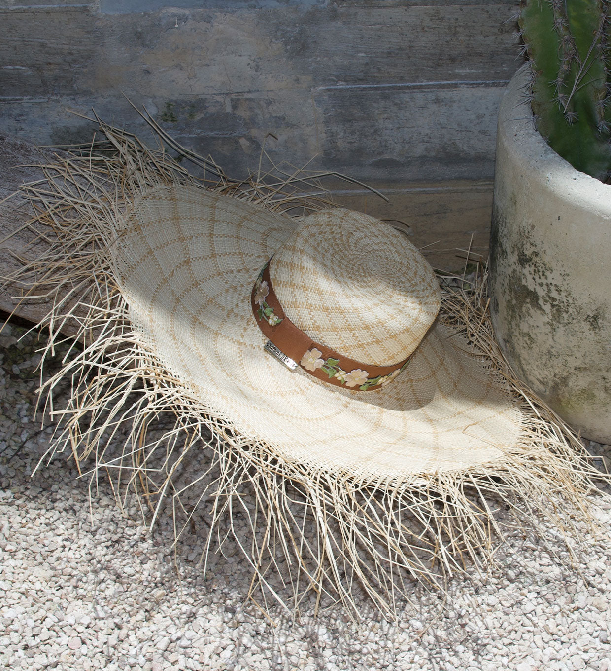 CAMILA image 7