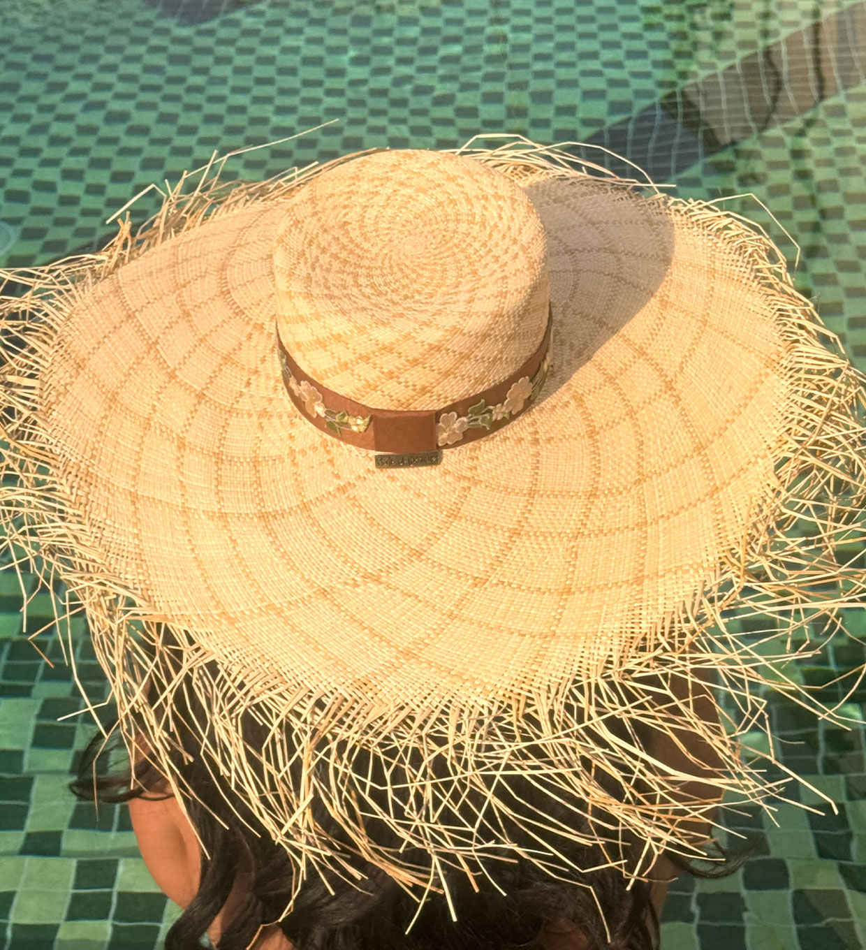 CAMILA image 5