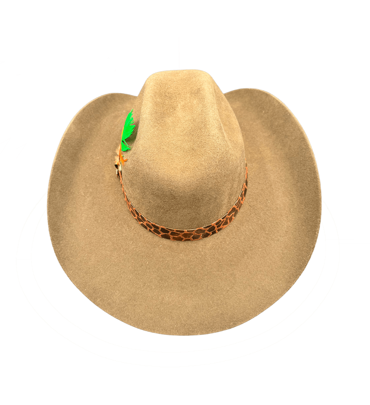VANESA image 1