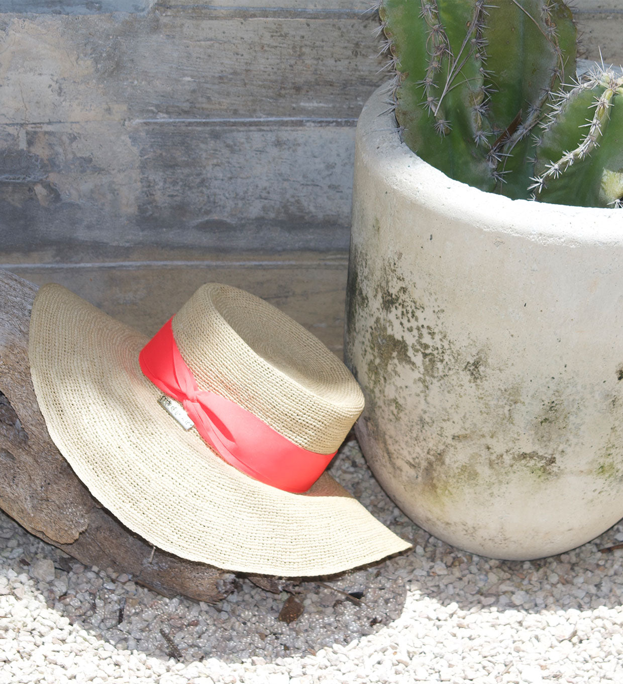 MAYTE image 7