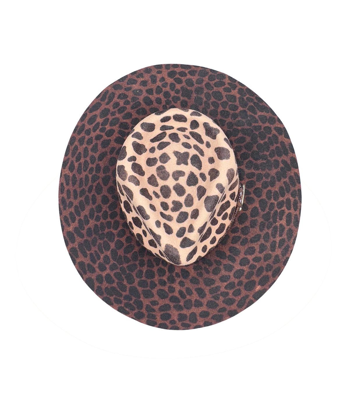 ROMINA image 2