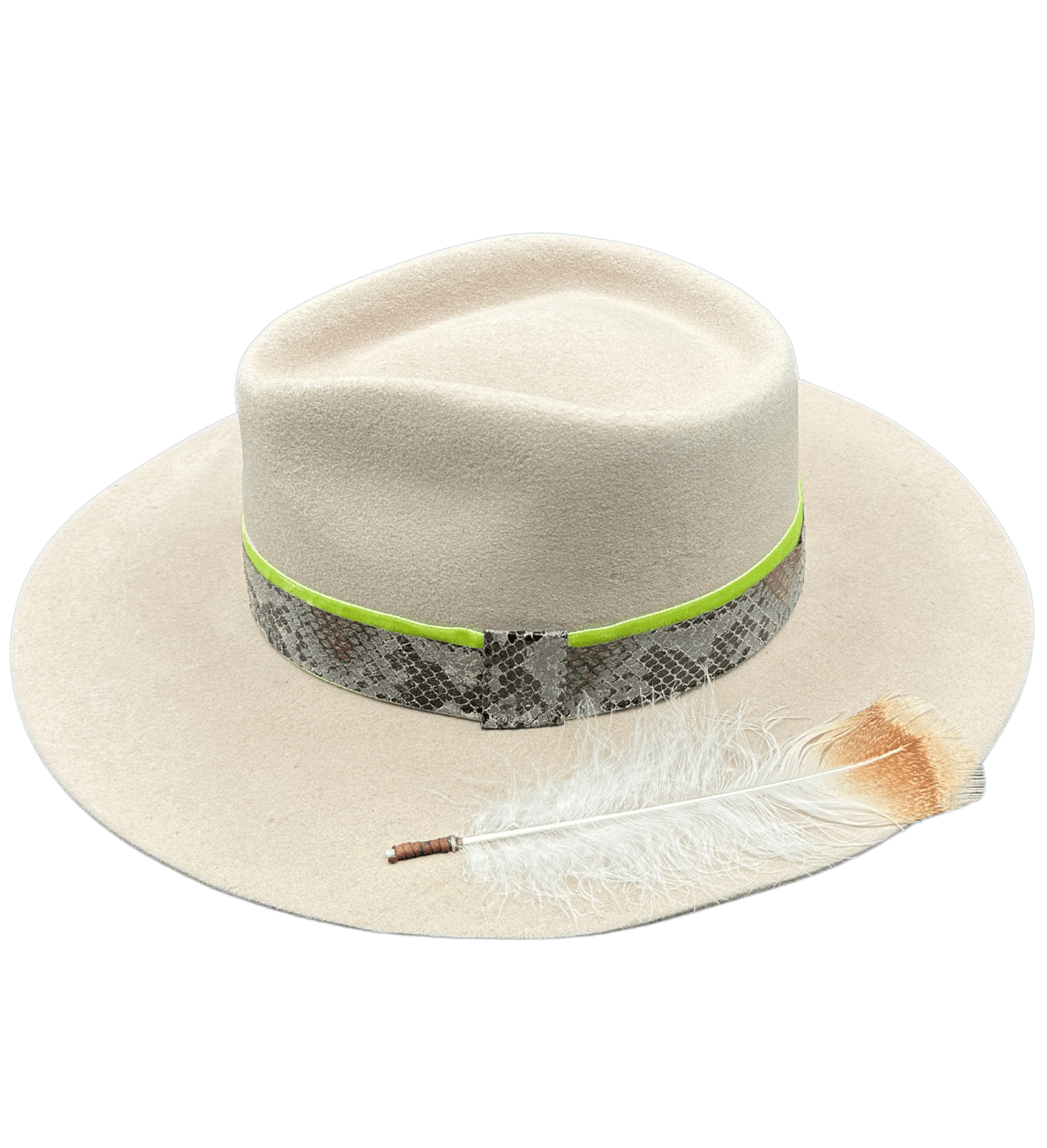 TERESA image 5