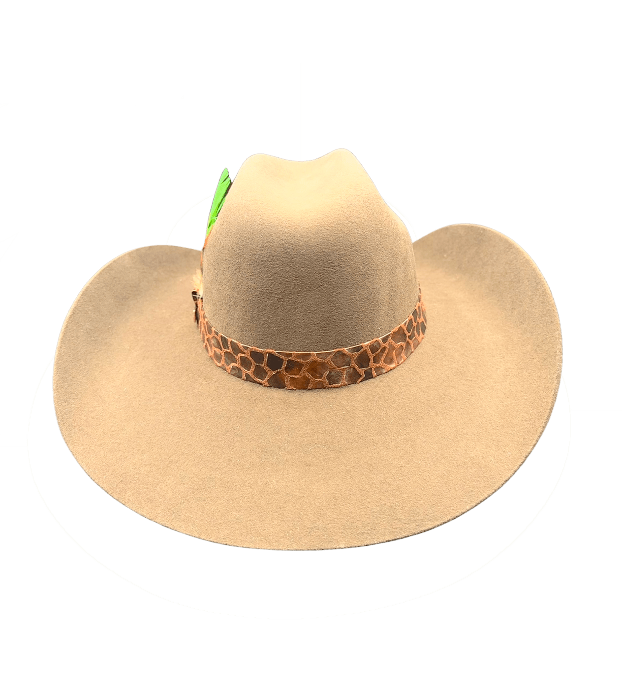 VANESA image 4