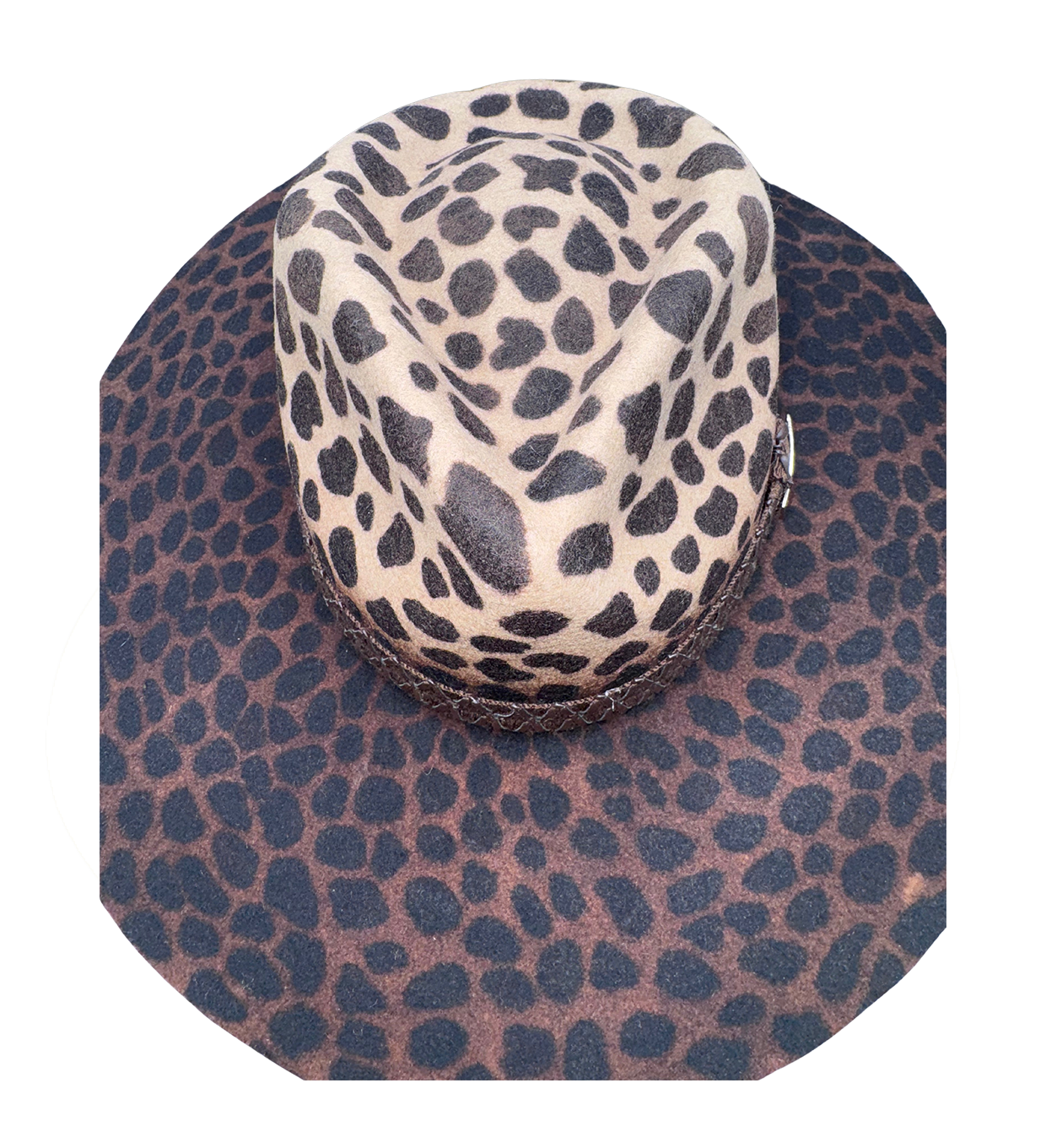 ROMINA image 4